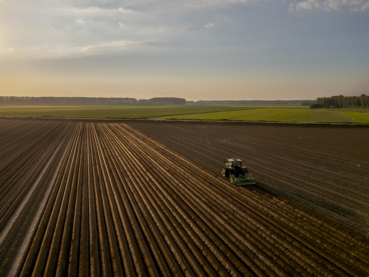 Luftaufnahme eines Traktors bei der Aussaat in den Abendstunden