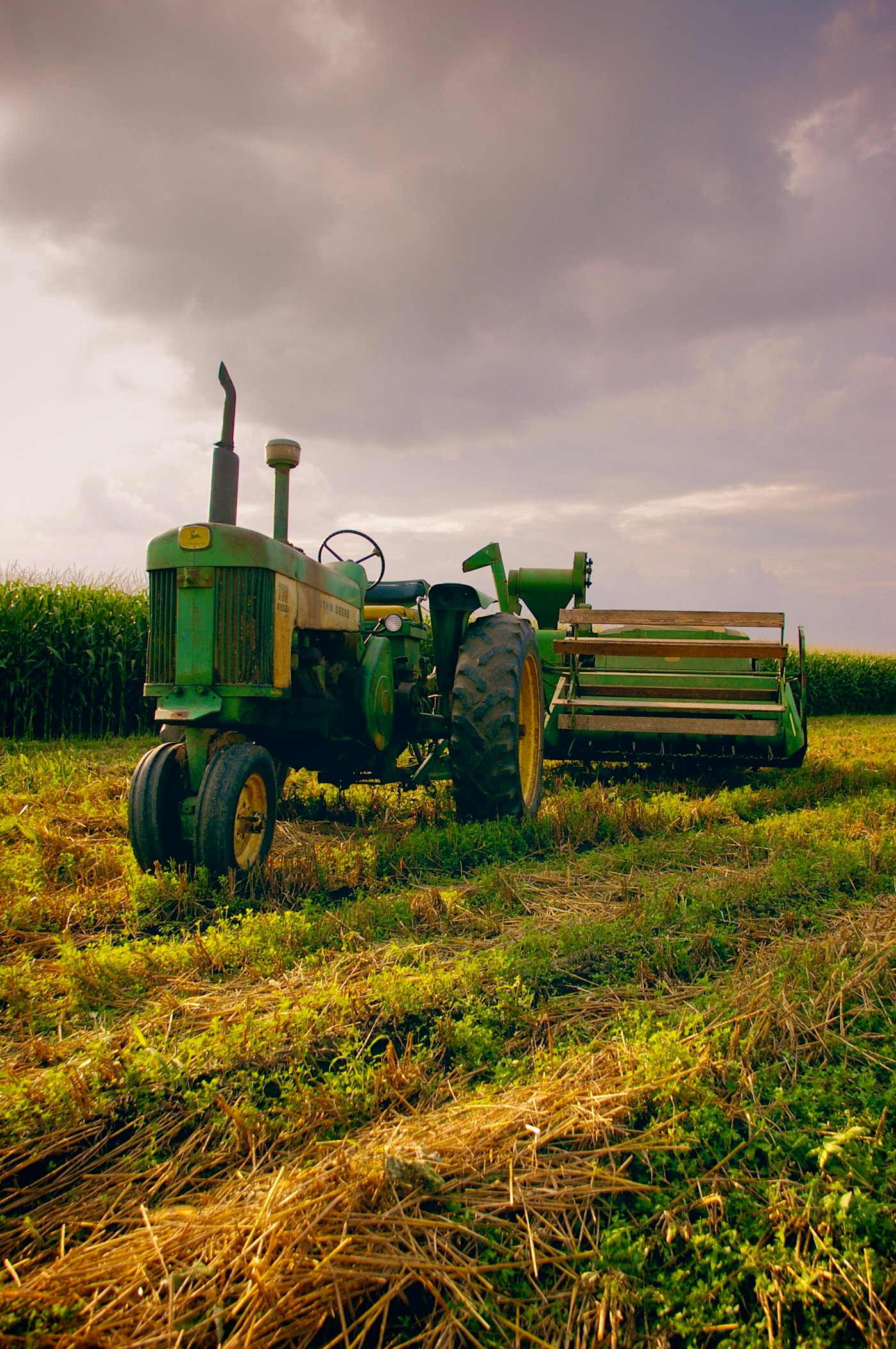 Traktor mit Erntevorsatz auf einem Maisfeld, klassische Landtechnik